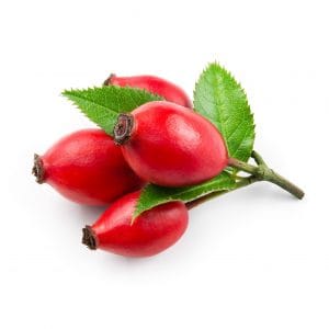 ingredient-rosehip